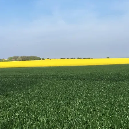 Klintely * Hojerup